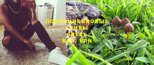 МДПВ Магас